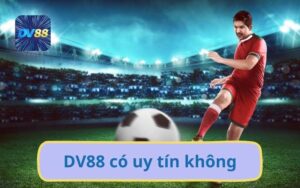 Review DV88 Có Uy Tín Không? Xem Đánh Giá Từ Người Dùng Thật