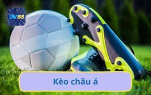 DV88 Hướng Dẫn Chiến Thuật Soi Kèo Châu Á Tỷ Lệ Chuẩn Xác